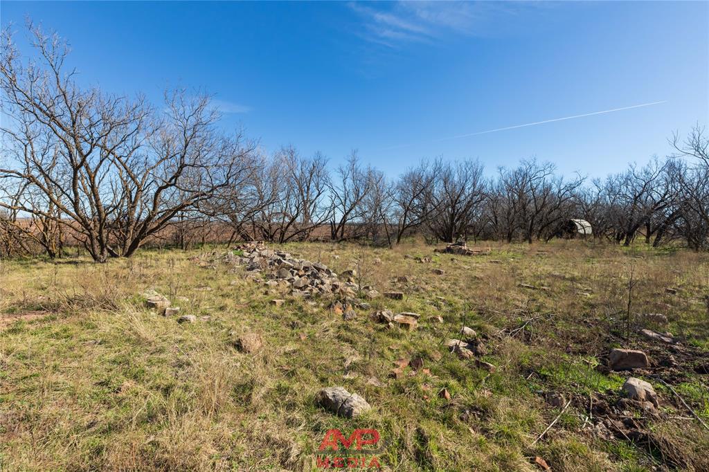 T B D County Road 260 Property Photo 3