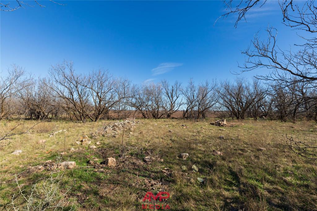 T B D County Road 260 Property Photo 4