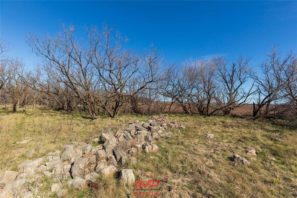 T B D County Road 260 Property Photo 7