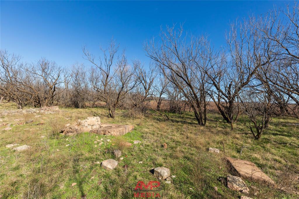 T B D County Road 260 Property Photo 10