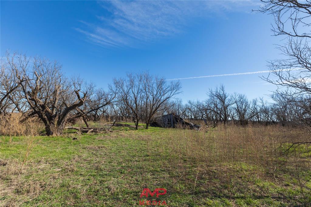 T B D County Road 260 Property Photo 12