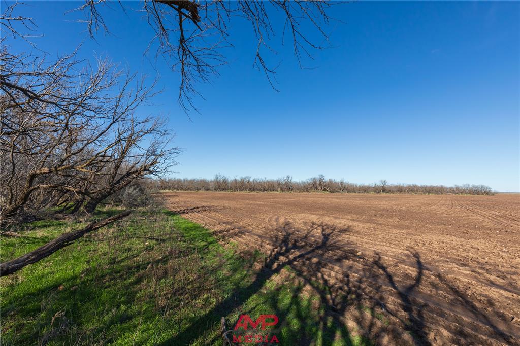 T B D County Road 260 Property Photo 13