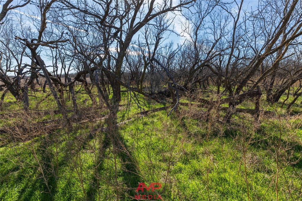 T B D County Road 260 Property Photo 14