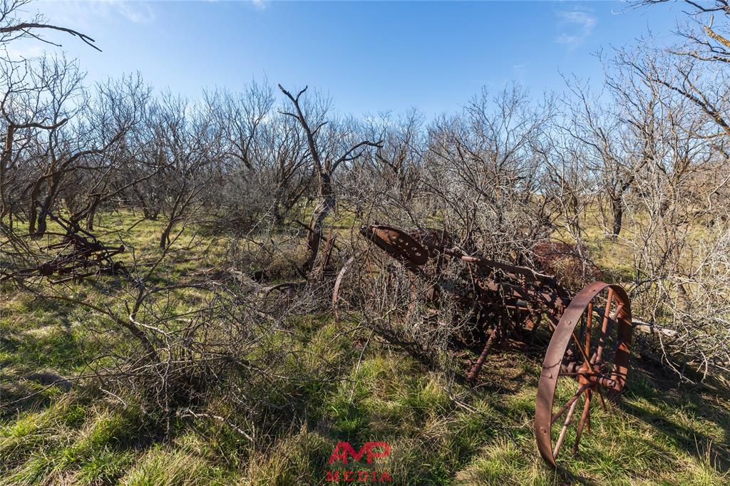 T B D County Road 260 Property Photo 15