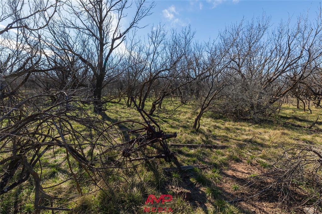 T B D County Road 260 Property Photo 16