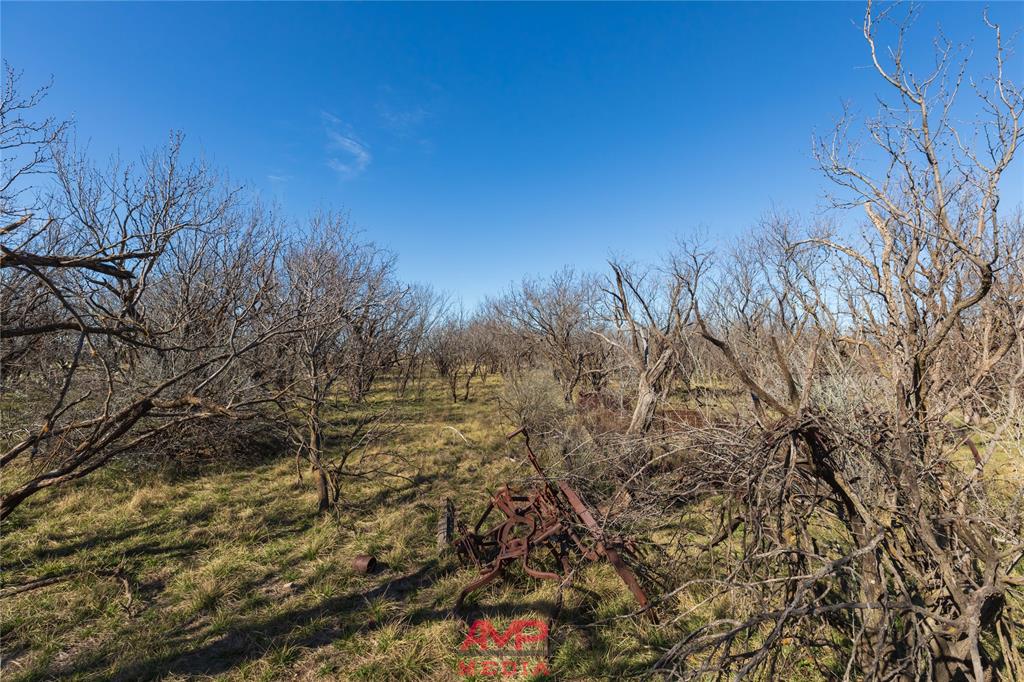 T B D County Road 260 Property Photo 17