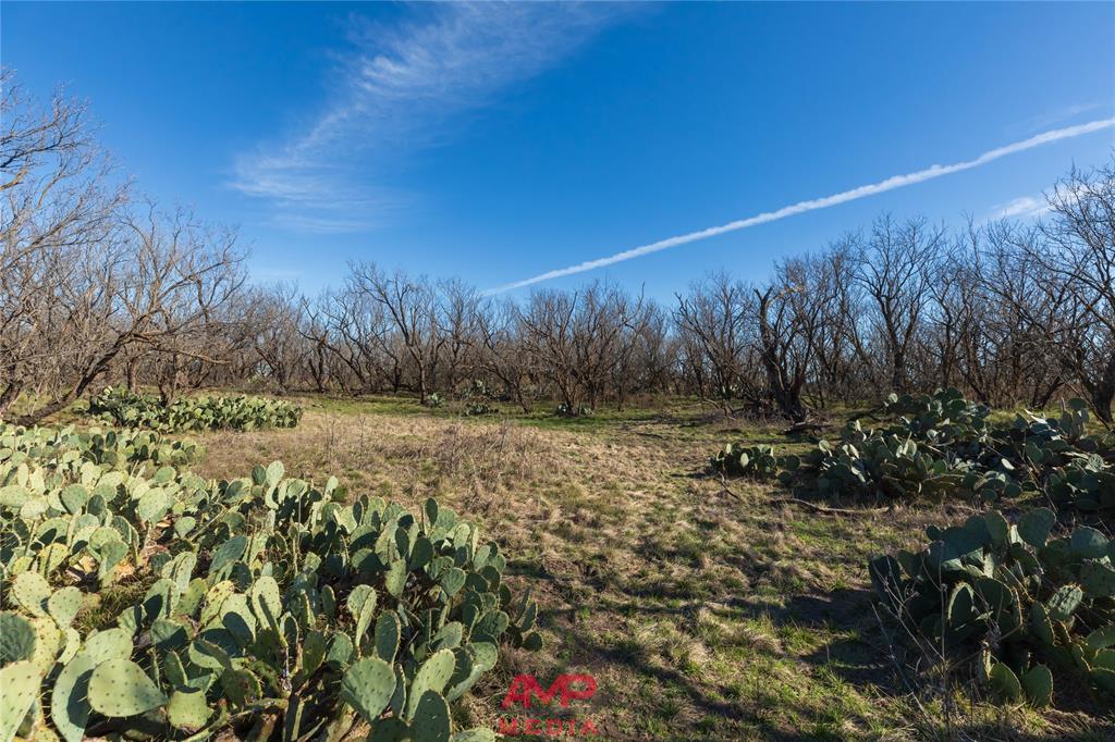 T B D County Road 260 Property Photo 18