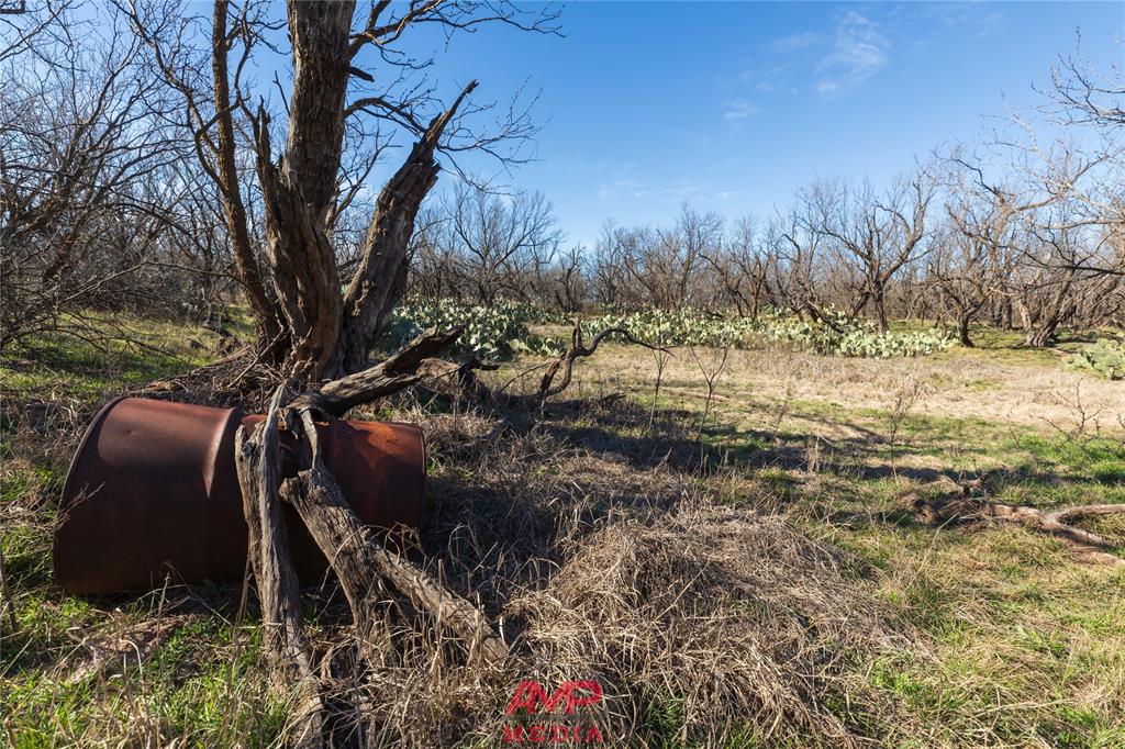 T B D County Road 260 Property Photo 19