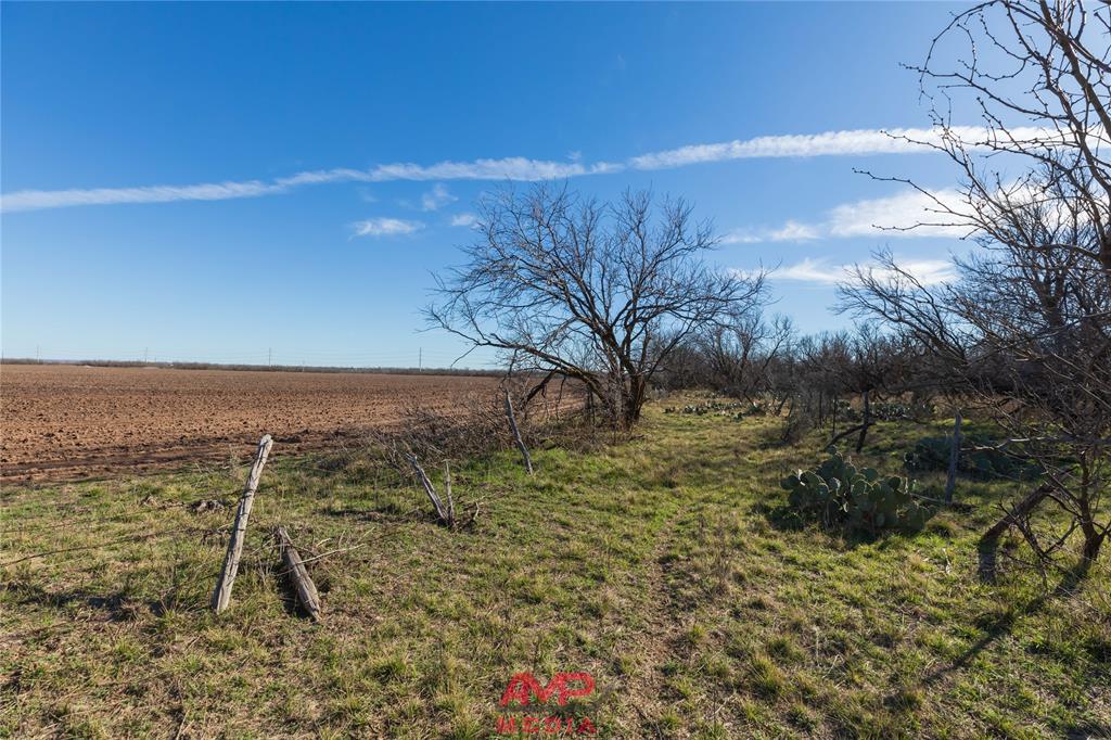 T B D County Road 260 Property Photo 20