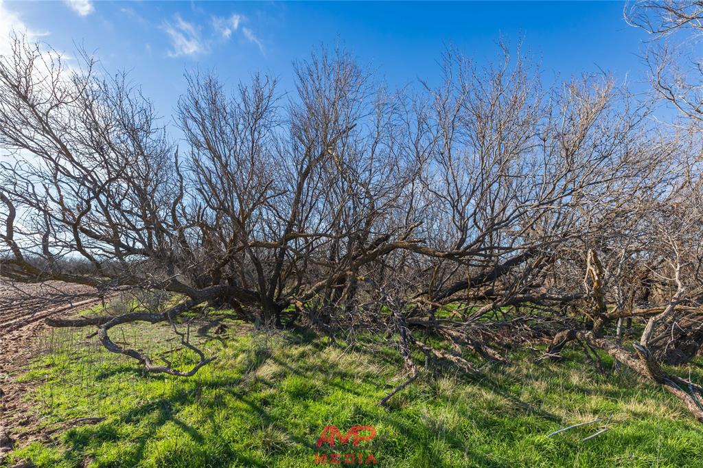 T B D County Road 260 Property Photo 21