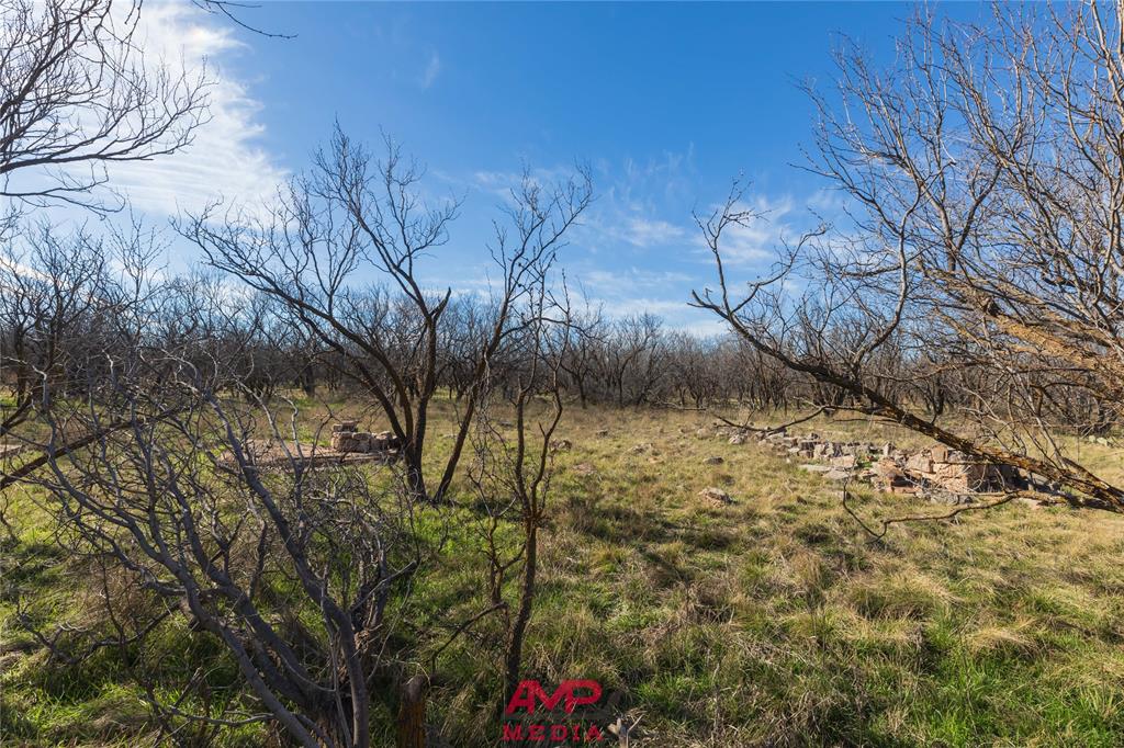 T B D County Road 260 Property Photo 22