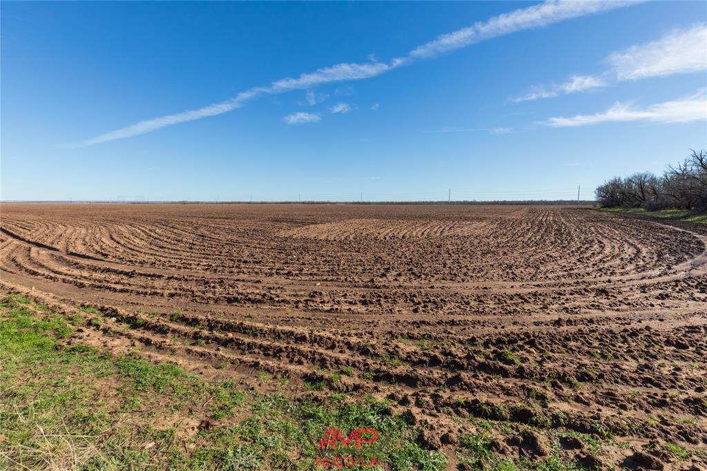 T B D County Road 260 Property Photo 23
