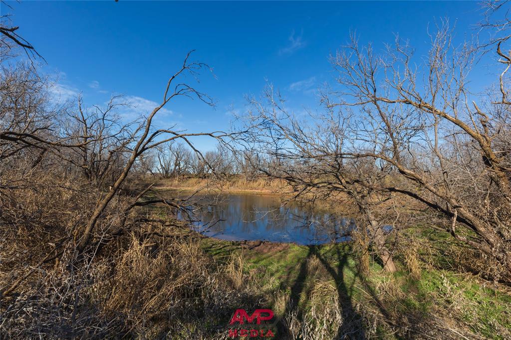 T B D County Road 260 Property Photo 24