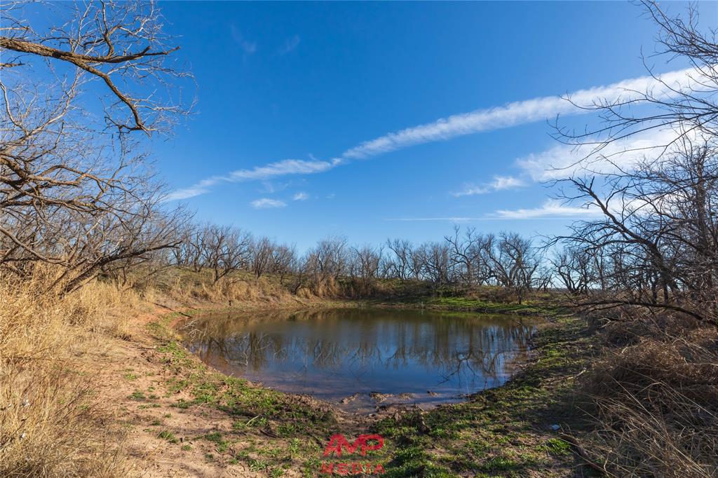 T B D County Road 260 Property Photo 25