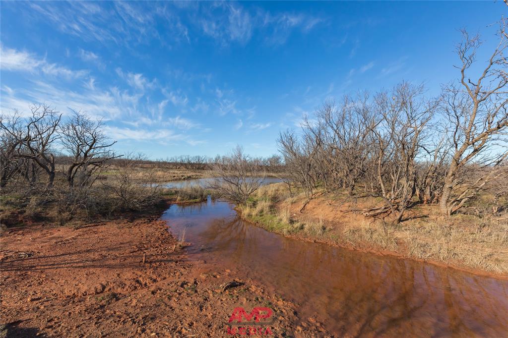 T B D County Road 260 Property Photo 26