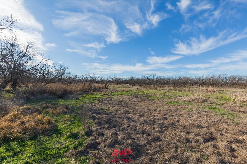 T B D County Road 260 Property Photo 28