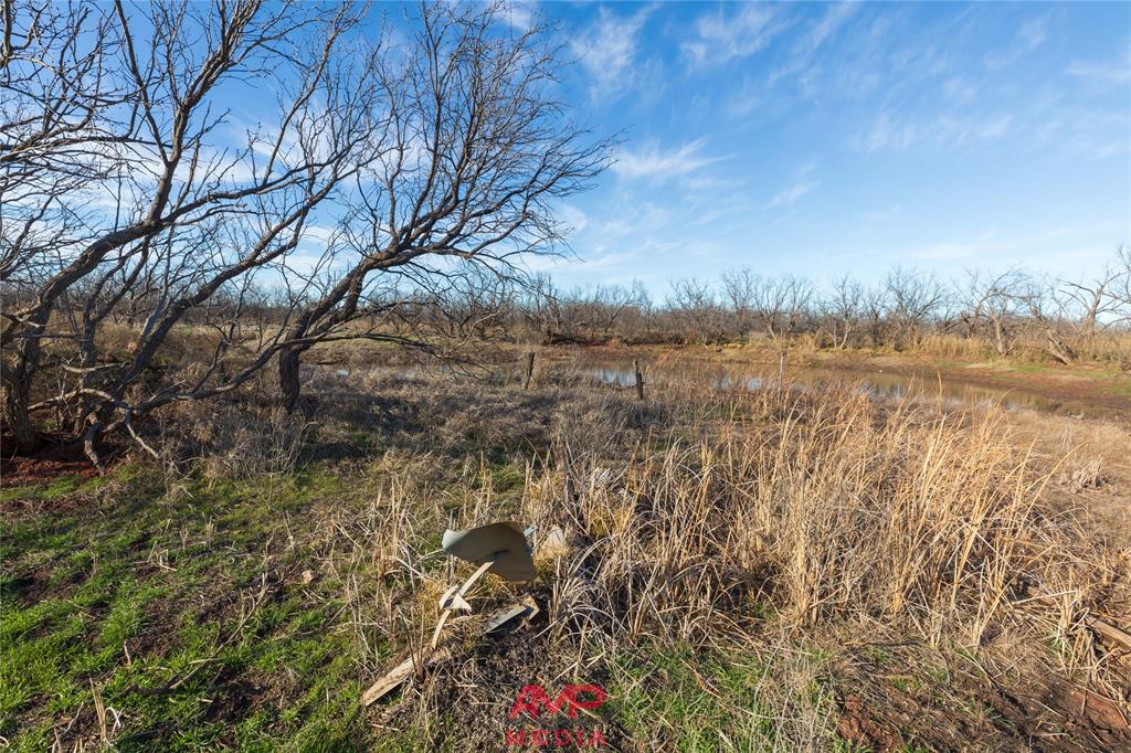 T B D County Road 260 Property Photo 32
