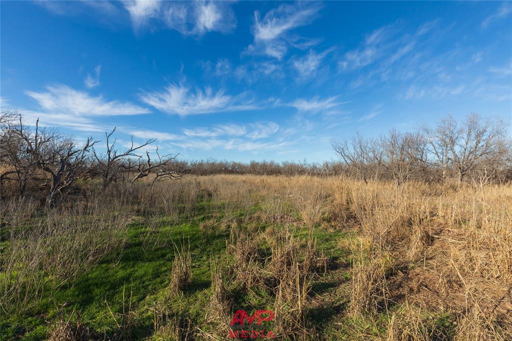 T B D County Road 260 Property Photo 33