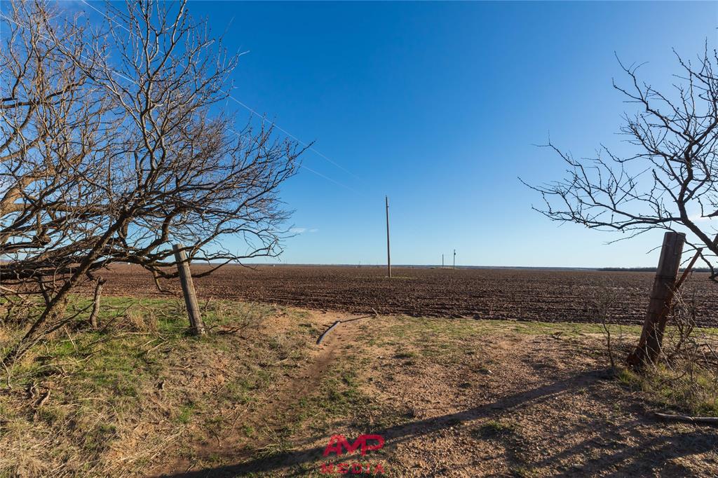 T B D County Road 260 Property Photo 38