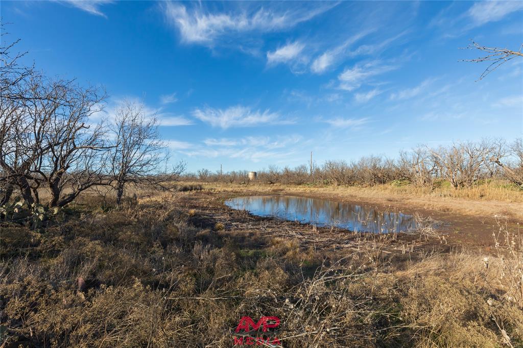T B D County Road 260 Property Photo 39