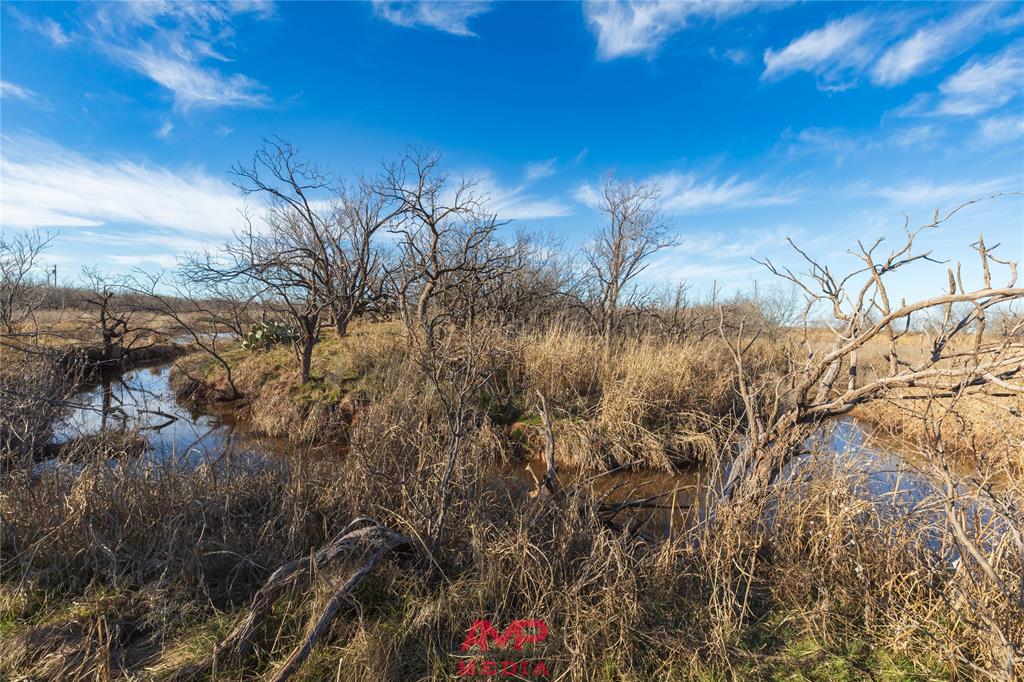 T B D County Road 260 Property Photo 40