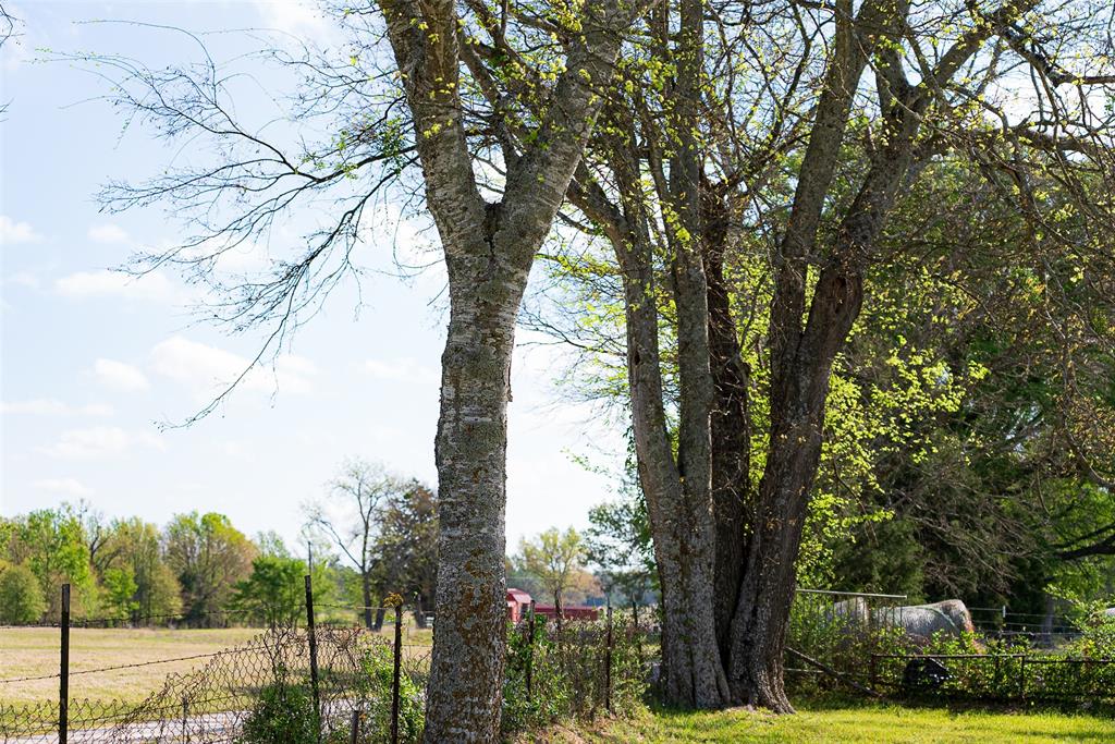 10813 Fm 773 Property Photo 23