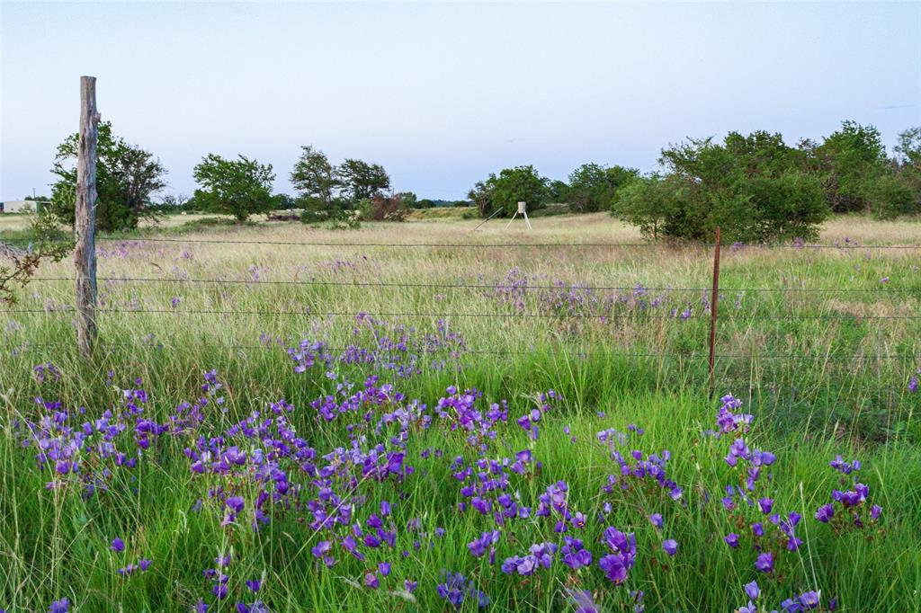 11439 Fm 1602 A Property Photo 8
