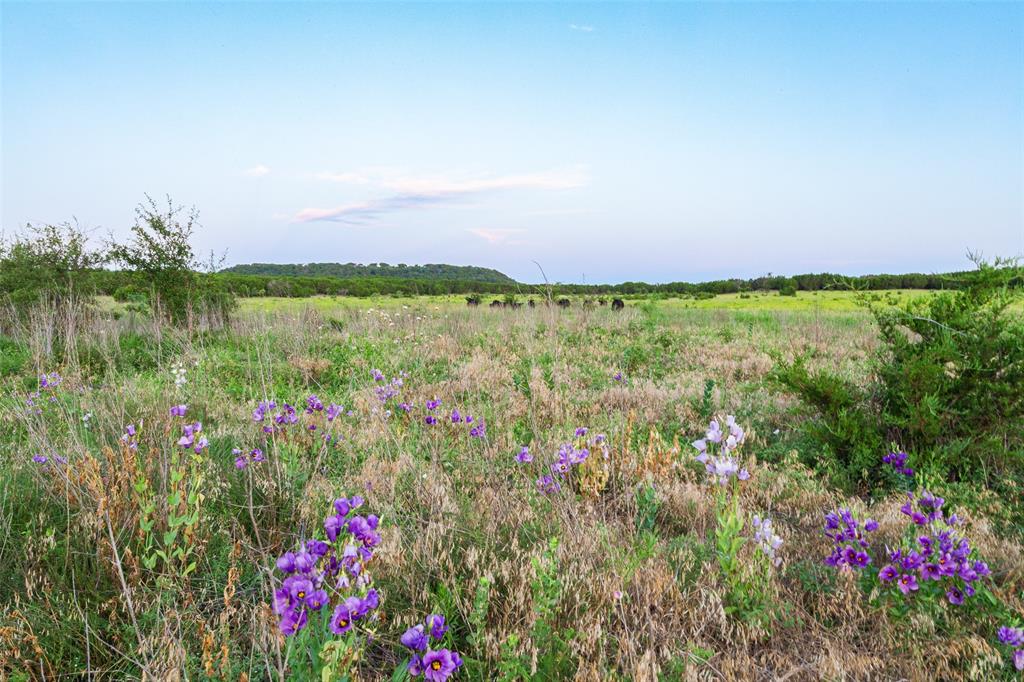 11439 Fm 1602 A Property Photo 9