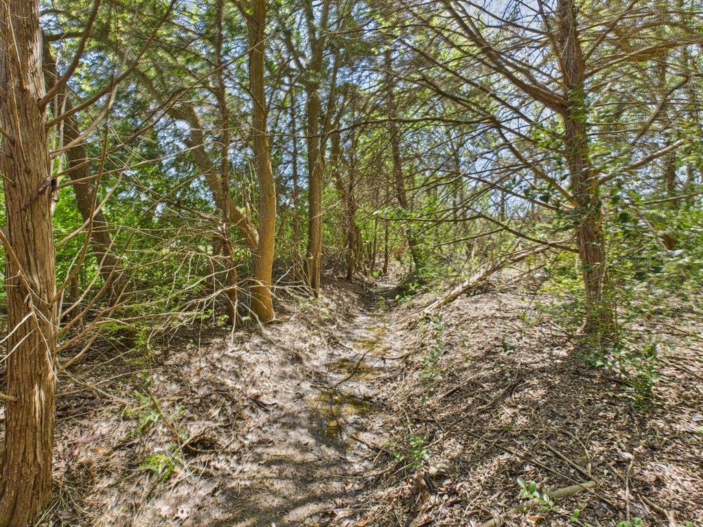 6441 Bois D Arc Circle Property Photo 32