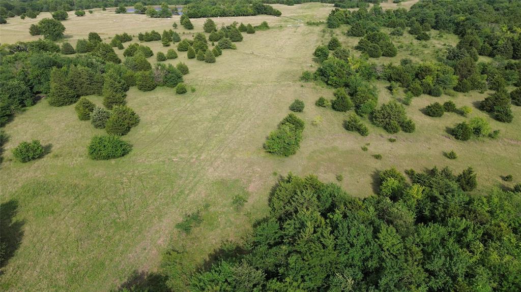 4081 Fm 2736 B Property Photo 7