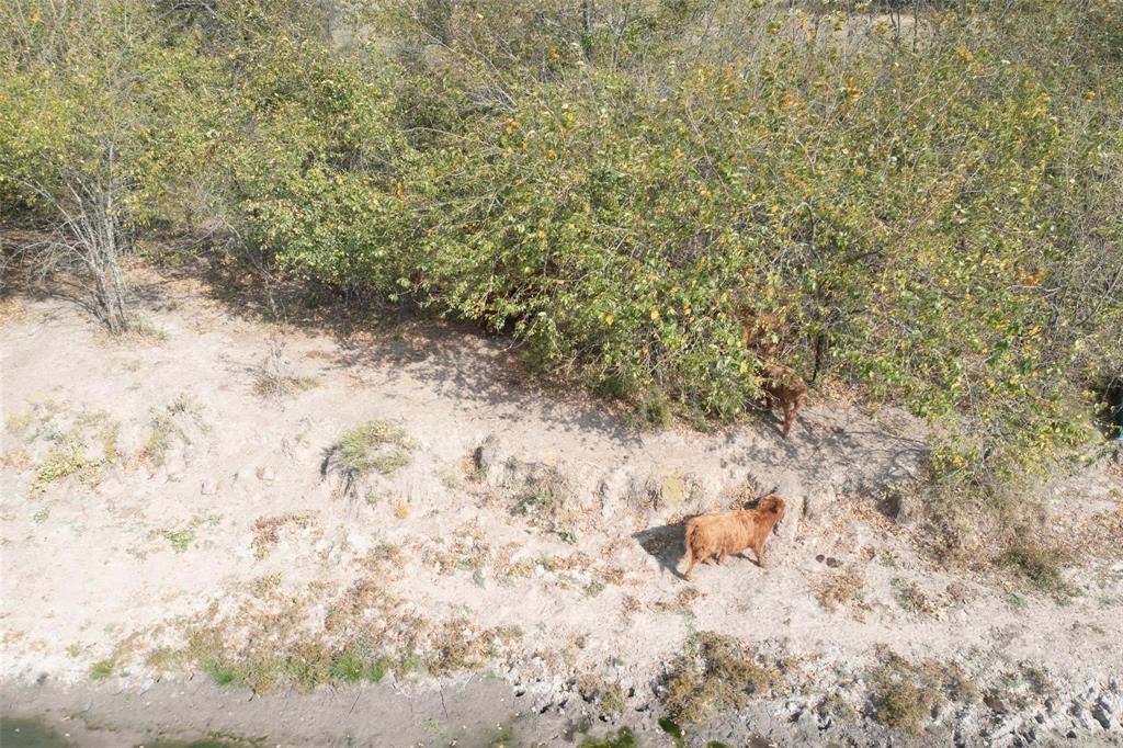 4081 Fm 2736 B Property Photo 22