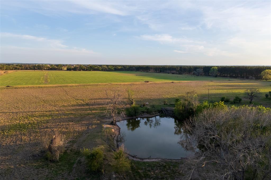 00 County Rd 117 Property Photo 3