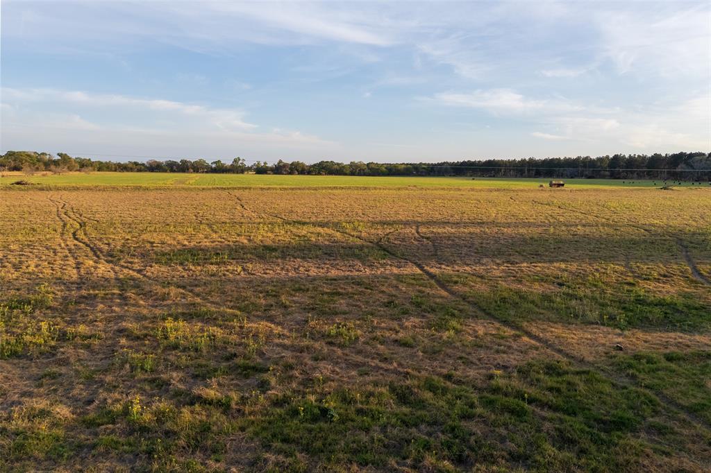 00 County Rd 117 Property Photo 6