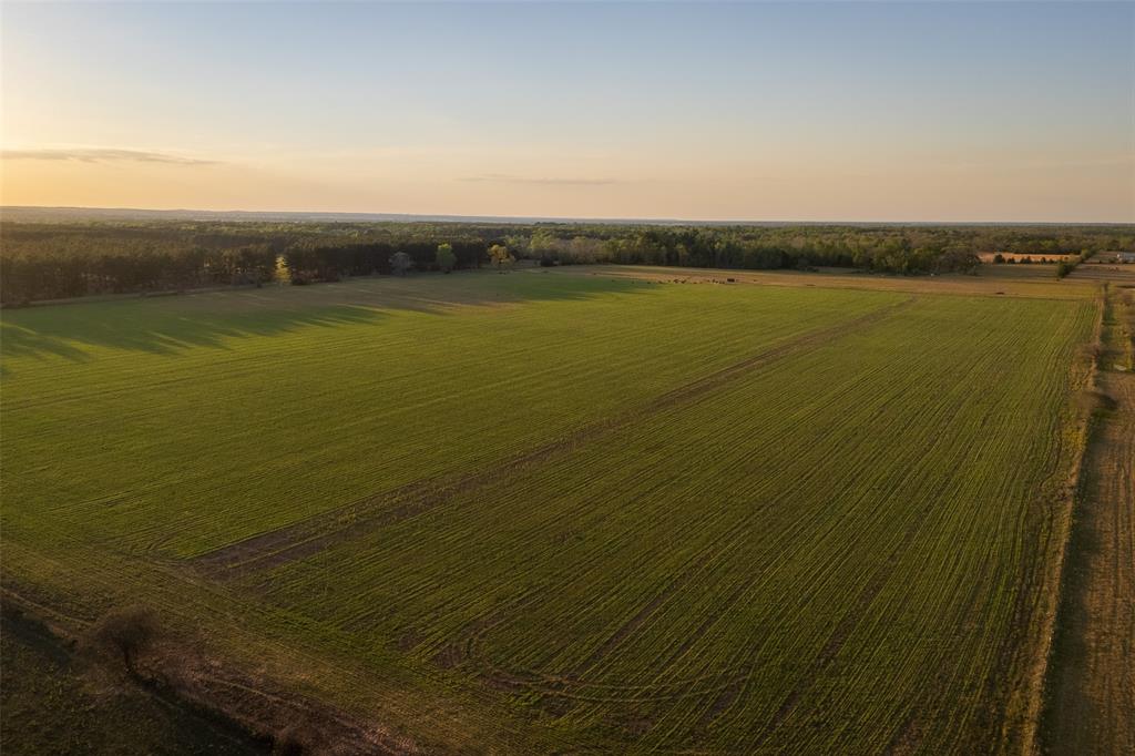 00 County Rd 117 Property Photo 9