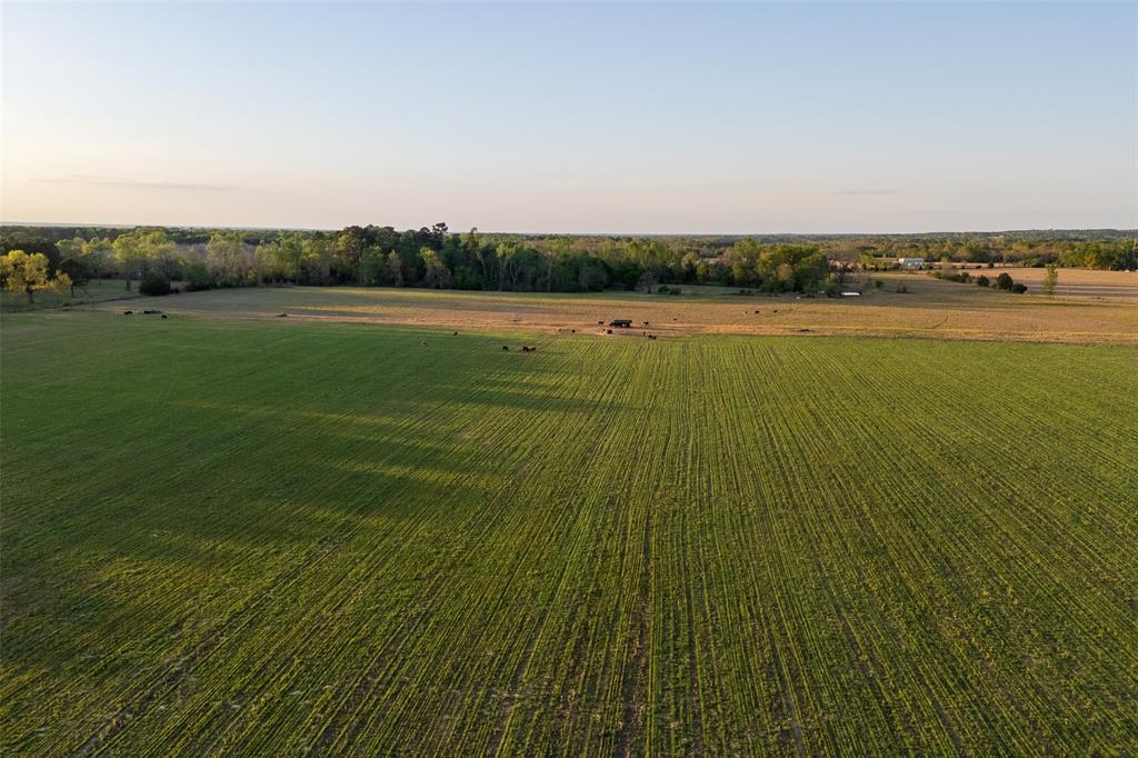 00 County Rd 117 Property Photo 10