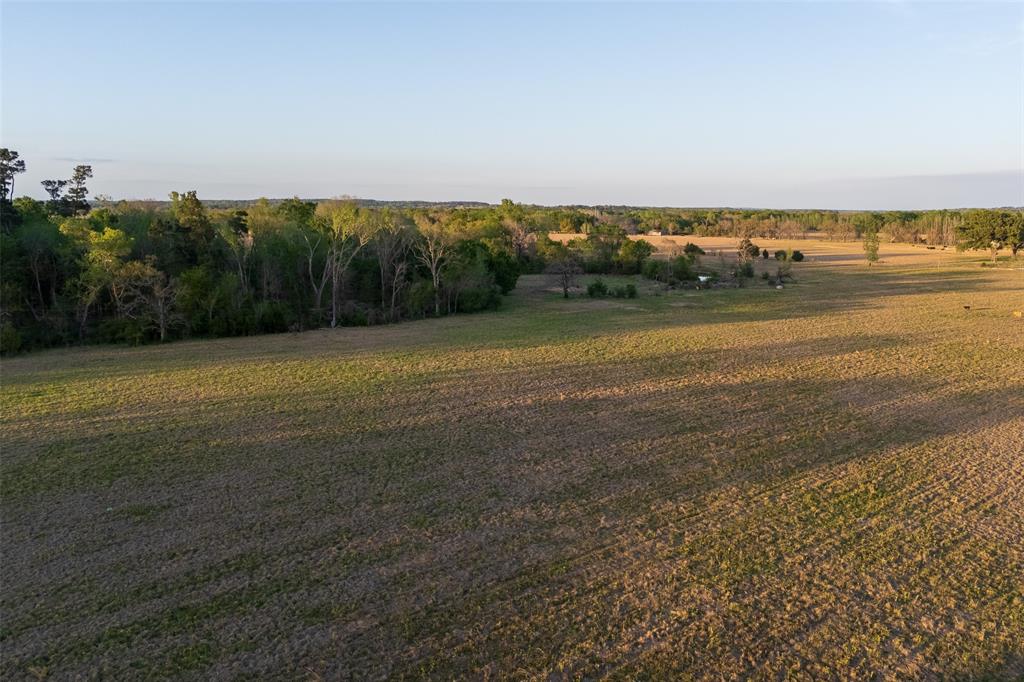 00 County Rd 117 Property Photo 11