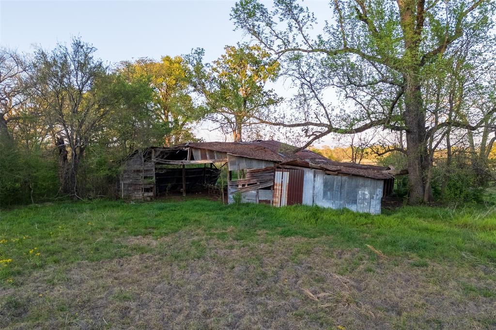 00 County Rd 117 Property Photo 16