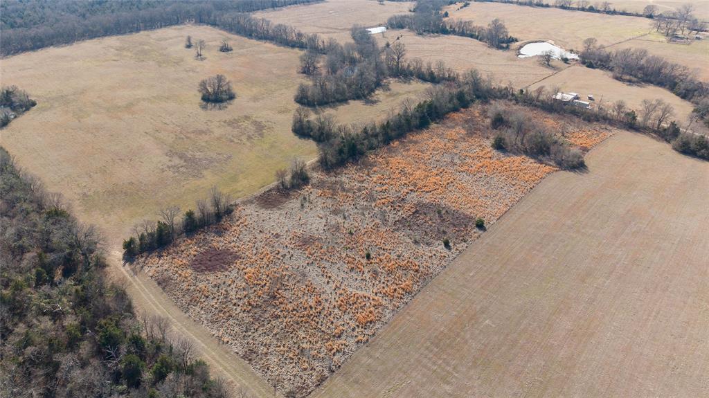 7 .95 Ac County Road 2426 Property Photo 6