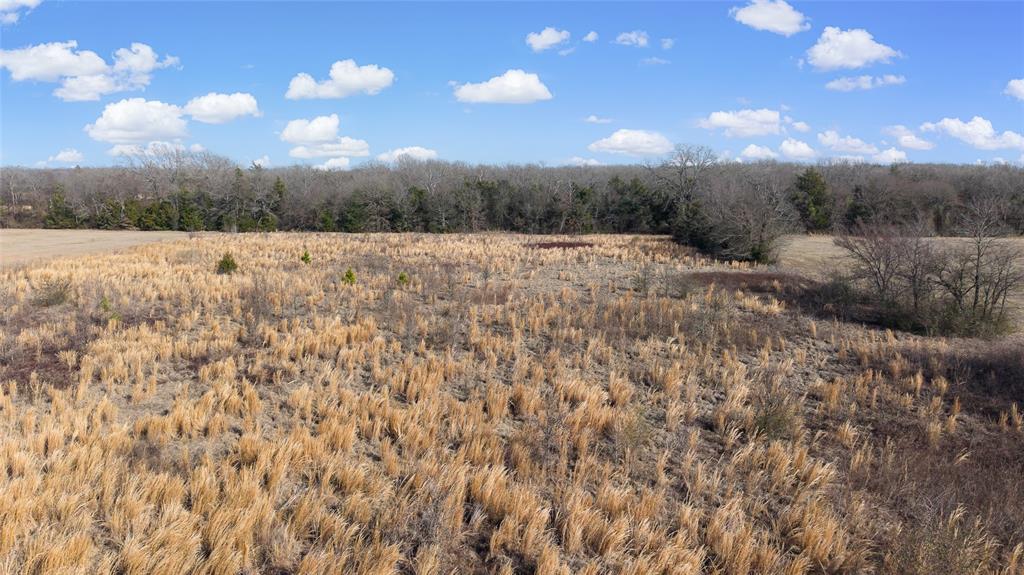 7 .95 Ac County Road 2426 Property Photo 22