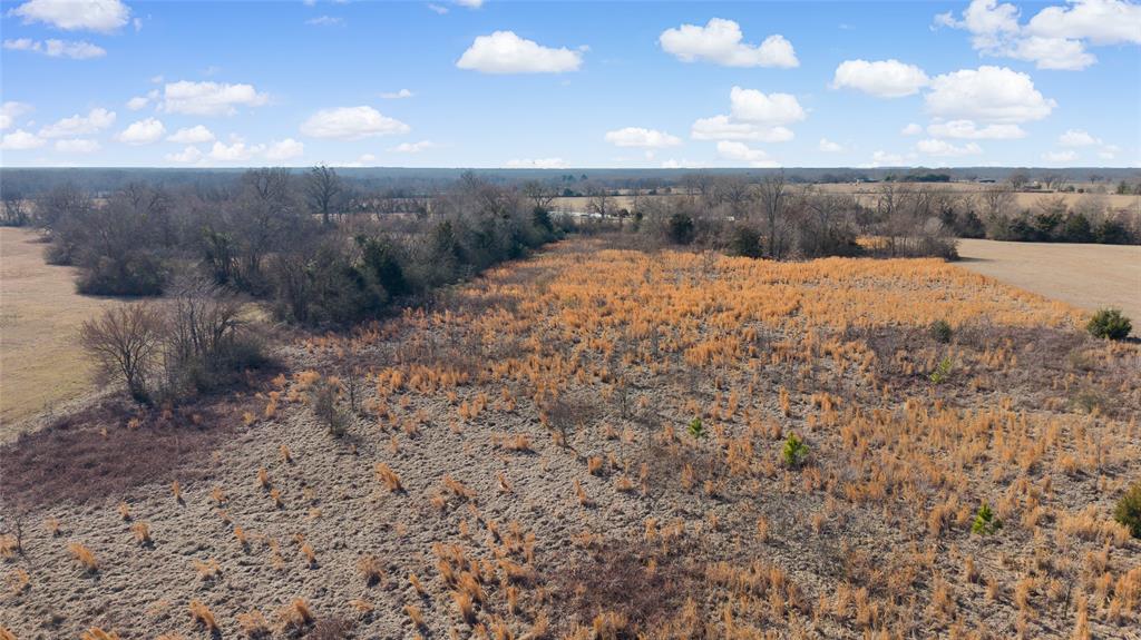 7 .95 Ac County Road 2426 Property Photo 23