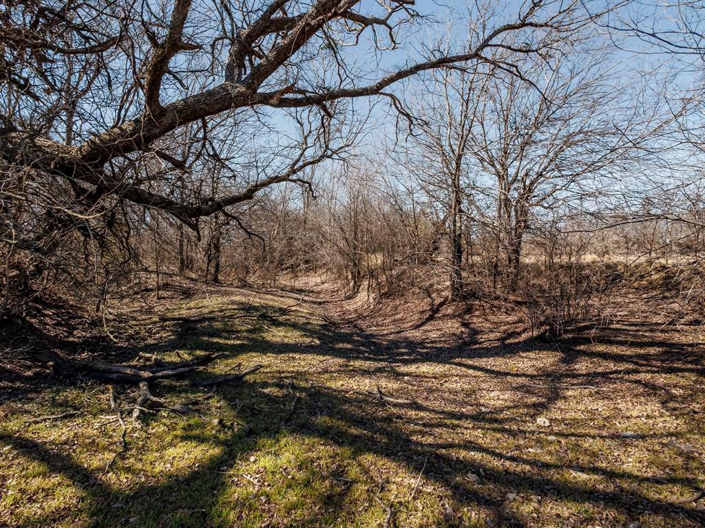 1013 County Road 153 Property Photo 30