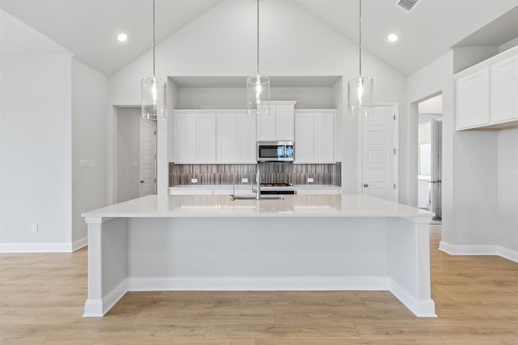 1105 Painted Lady Drive Property Photo 10