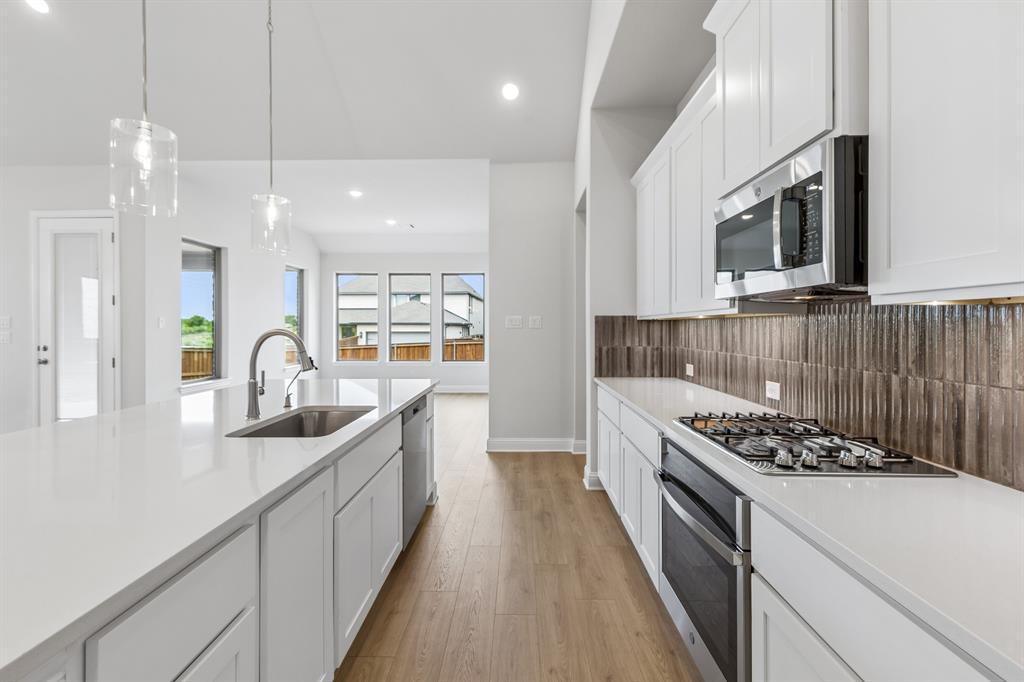 1105 Painted Lady Drive Property Photo 12
