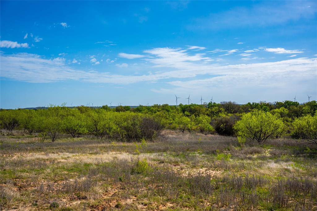 231 Georgia Pass Property Photo 17