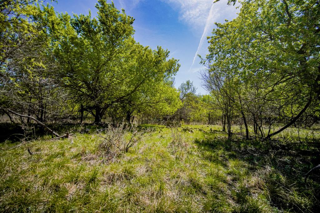 100 Acres Fm 2950 Property Photo 1