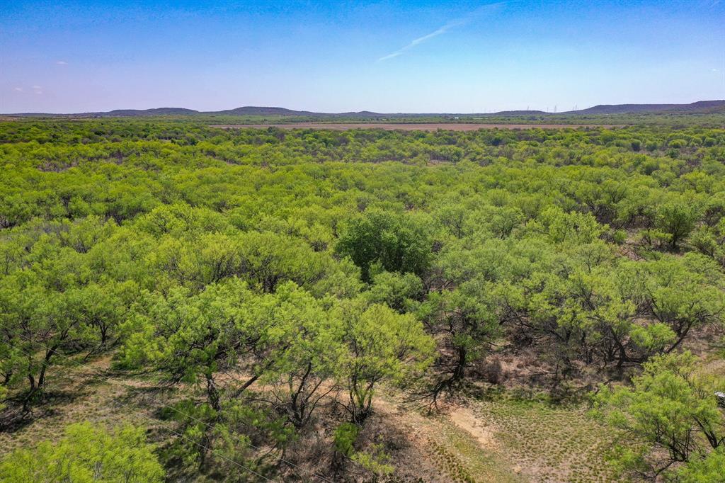 100 Acres Fm 2950 Property Photo 4