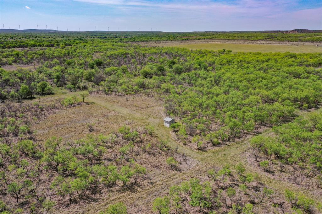 100 Acres Fm 2950 Property Photo 11