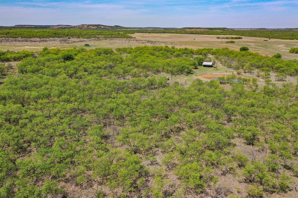 100 Acres Fm 2950 Property Photo 12