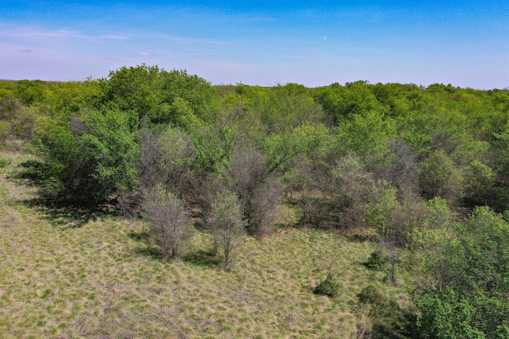 100 Acres Fm 2950 Property Photo 13