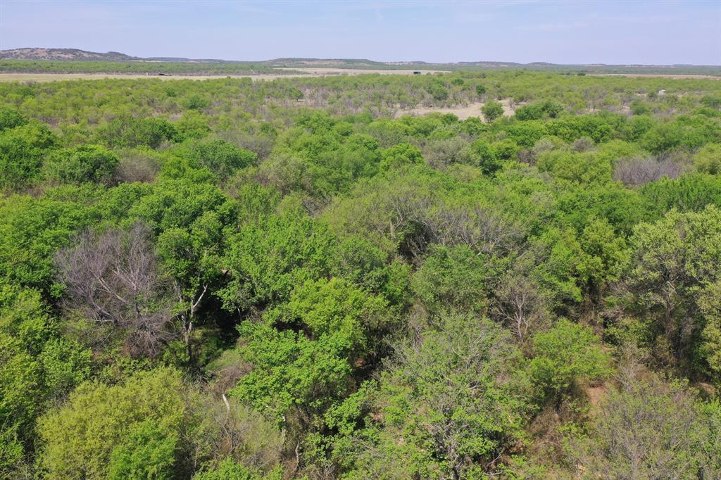 100 Acres Fm 2950 Property Photo 17
